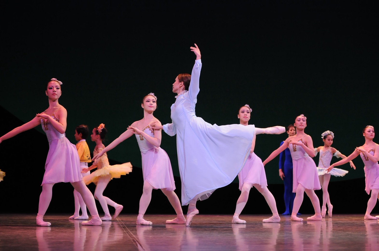 S__295248077_0